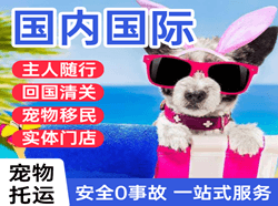 莫力达瓦旗空运代理国际宠物托运 【国